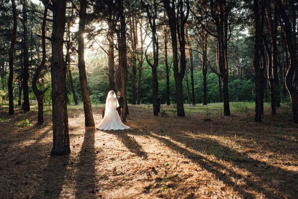 Caminhada Noiva Noivo Através Floresta Outono Outubro — Fotografia de Stock