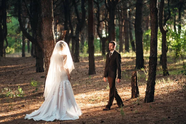 Promenad Bruden Och Brudgummen Genom Höstskogen Oktober — Stockfoto