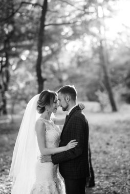 Gelin ve damadın yürüyüşü Ekimde sonbahar ormanında