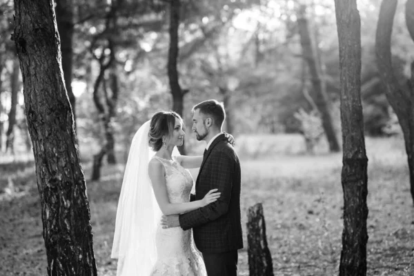 Wandeling Van Bruid Bruidegom Door Het Herfstbos Oktober — Stockfoto