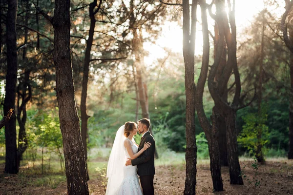 Walk Bride Groom Autumn Forest October — Stock Photo, Image