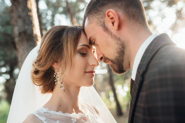 Paseo Los Novios Por Bosque Otoñal Octubre —  Fotos de Stock