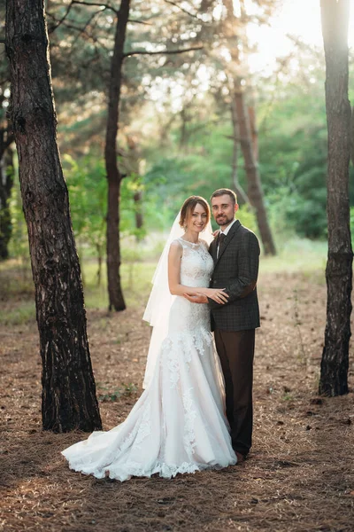 Paseo Los Novios Por Bosque Otoñal Octubre —  Fotos de Stock