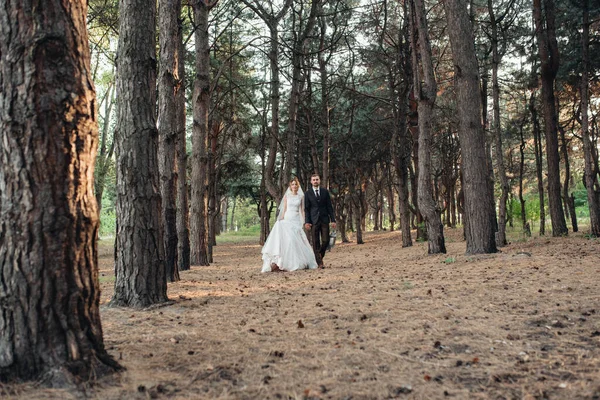 Séta Menyasszony Vőlegény Őszi Erdőben Októberben — Stock Fotó