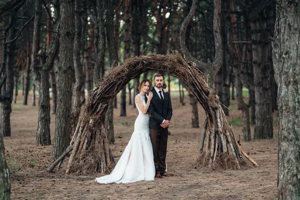 Paseo Los Novios Por Bosque Otoñal Octubre —  Fotos de Stock