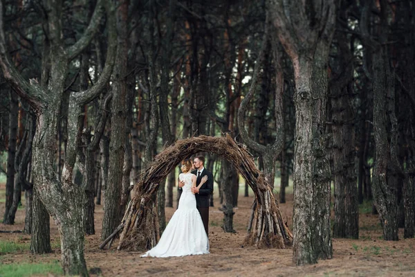 Paseo Los Novios Por Bosque Otoñal Octubre —  Fotos de Stock