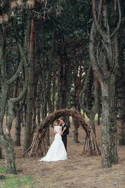 Paseo Los Novios Por Bosque Otoñal Octubre —  Fotos de Stock