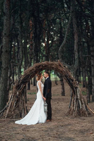 Paseo Los Novios Por Bosque Otoñal Octubre —  Fotos de Stock