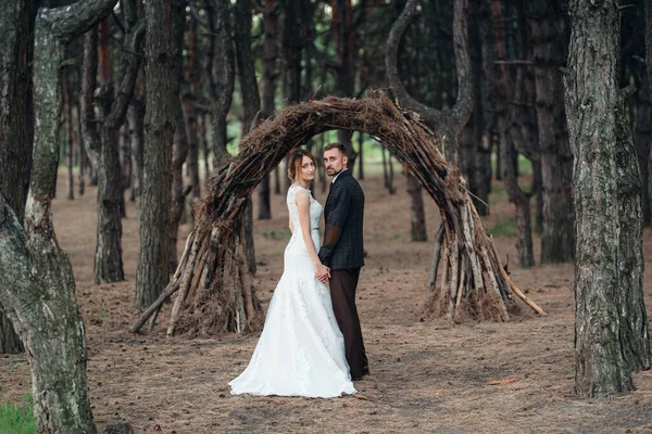 Paseo Los Novios Por Bosque Otoñal Octubre —  Fotos de Stock