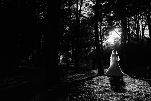 Girl in a wedding dress in the autumn forest against the background of wild trees