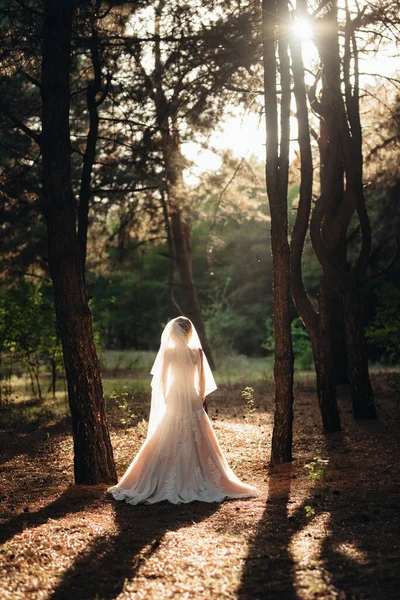 Menina Vestido Noiva Floresta Outono Contra Fundo Árvores Selvagens — Fotografia de Stock