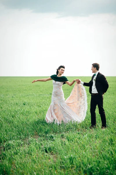 Der Bräutigam Braunen Anzug Und Die Braut Einem Elfenbeinfarbenen Kleid — Stockfoto