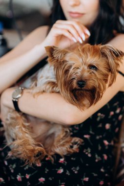 Siyah saçlı gelin kız damadın yatak odasına hazırlanıyor.