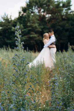 Gelin ve damat parklarda yürüyorlar patikalar boyunca ve ışık huzmeleri içinde