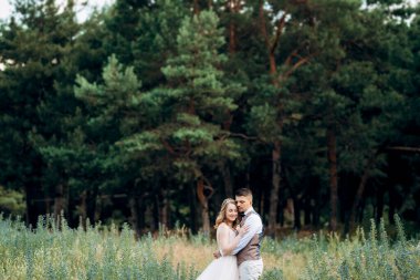 Gelin ve damat parklarda yürüyorlar patikalar boyunca ve ışık huzmeleri içinde