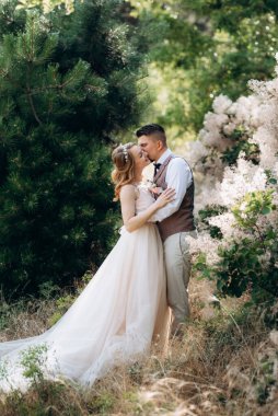 Gelin ve damat parklarda yürüyorlar patikalar boyunca ve ışık huzmeleri içinde