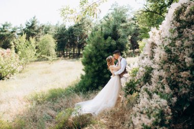 Gelin ve damat parklarda yürüyorlar patikalar boyunca ve ışık huzmeleri içinde