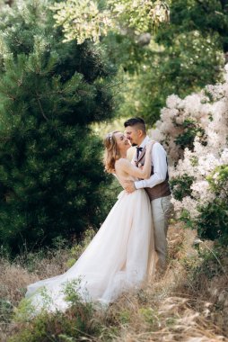 Gelin ve damat parklarda yürüyorlar patikalar boyunca ve ışık huzmeleri içinde