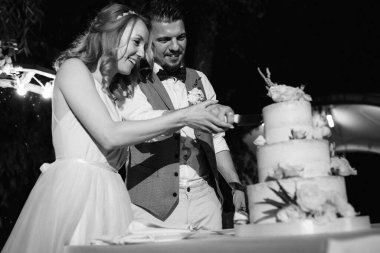 newlyweds happily cut, laugh and taste the wedding cake