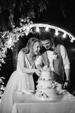newlyweds happily cut, laugh and taste the wedding cake