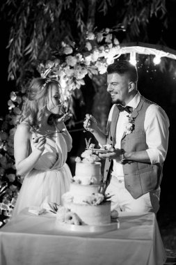 newlyweds happily cut, laugh and taste the wedding cake