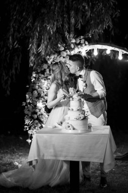 newlyweds happily cut, laugh and taste the wedding cake
