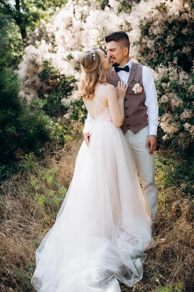 Gelin ve damat parklarda yürüyorlar patikalar boyunca ve ışık huzmeleri içinde