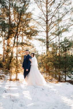 Genç çift, gelin ve damat, karlı bir çam ormanında kış yürüyüşü yapıyorlar.