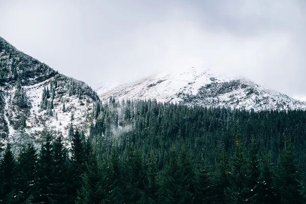 Paisaje invernal en las montañas de los Cárpatos — Foto de Stock