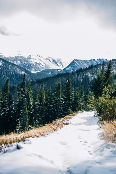 Paisaje invernal en las montañas de los Cárpatos — Foto de Stock