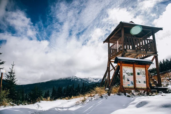 Winterlandschap in de Karpaten Bos — Stockfoto