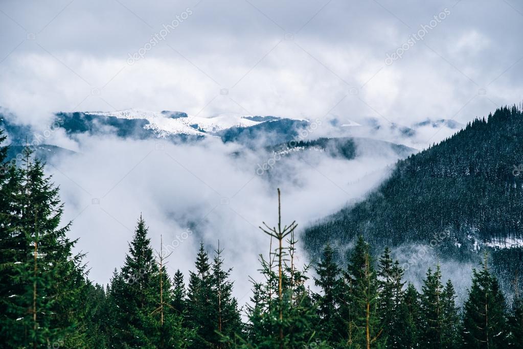 Andreua