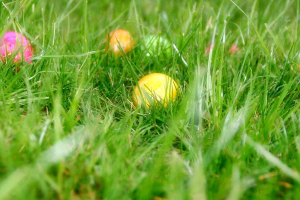 Gefärbte Hühnereier Eier Gras Liegend Ostern Nahaufnahme Grußkarte Mit Platz — Stockfoto