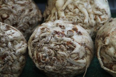 Kereviz yakın çekim, lat. Apium mezarlıkları, vejetaryen yemekleri.,