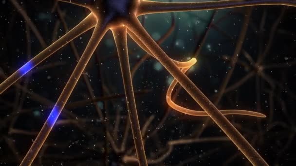 Εγκέφαλος Neuron Σκοτεινό Φόντο — Αρχείο Βίντεο