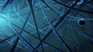 3 Boyutlu Model Hareketi Grafiksel Canlandırma