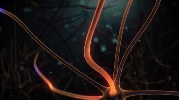 Mozkový Neuron Tmavém Pozadí — Stock video