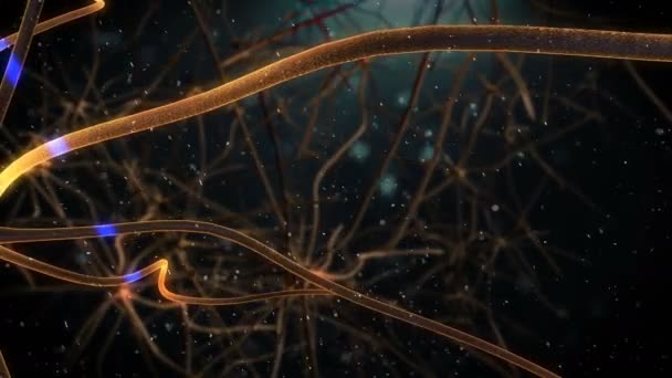 Neuron Mózgu Ciemnym Tle — Wideo stockowe