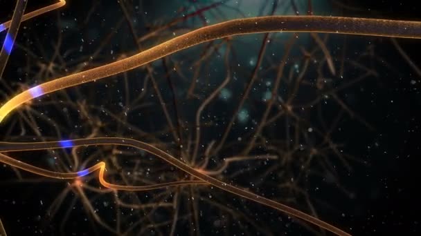 Cerebro Neurona Fondo Oscuro — Vídeos de Stock