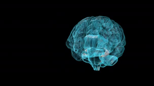 Brain Hippocampus Atlas Del Cerebro Humano — Vídeos de Stock