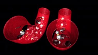 Damarların kansız ve normal kanla 3D animasyonu ve alfa kanalı için daha fazla mat.