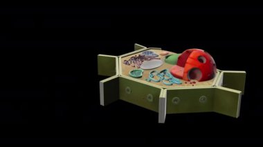 Siyah arkaplanda 3B model animasyonu