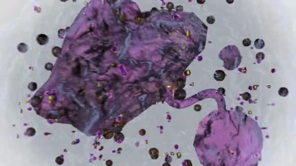 Анимация Нейтрофильных Клеток Крови — стоковое видео