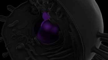 Siyah arkaplanda 3D animasyon modeli