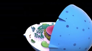 Siyah arkaplanda 3B model animasyonu