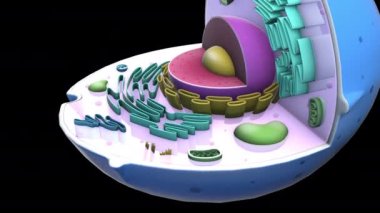 Siyah arkaplanda 3B model animasyonu