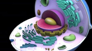 Siyah arkaplanda 3B model animasyonu