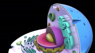 Siyah arkaplanda 3B model animasyonu