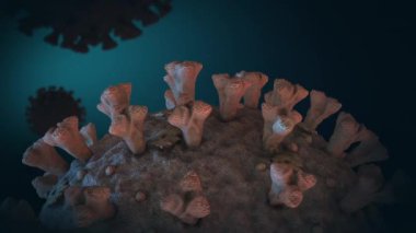 GREEN arka planda 3d animasyon modeli