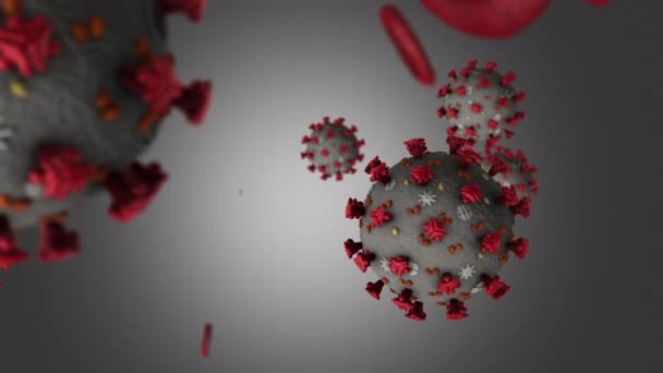 Coronavirus Fehér Háttérben — Stock videók